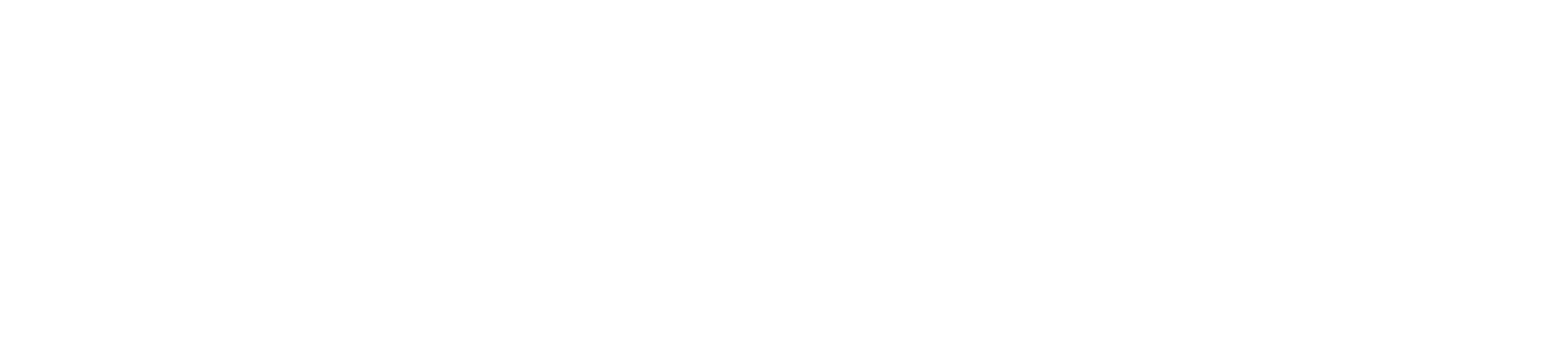 BotStream AI logo